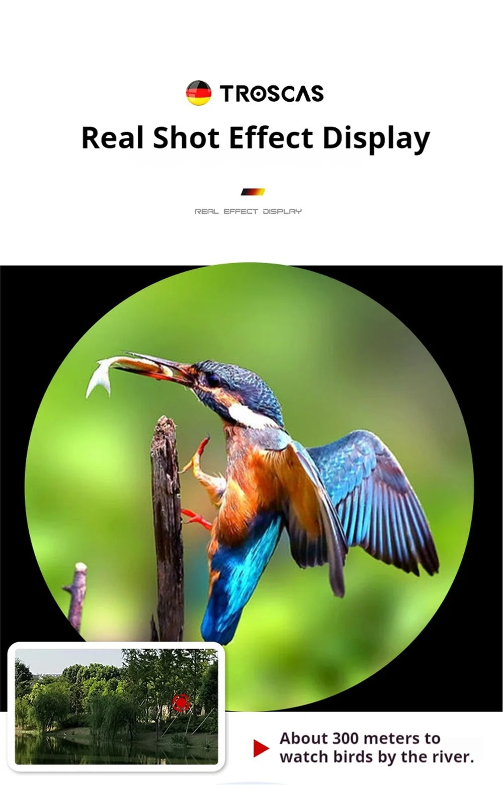 Jumelles Ponbos 12x50 HD ED Binocular Telescope SMC Coating Birdwatching Mirror Outdoor Waterproof Binoculars for Hunting Camping